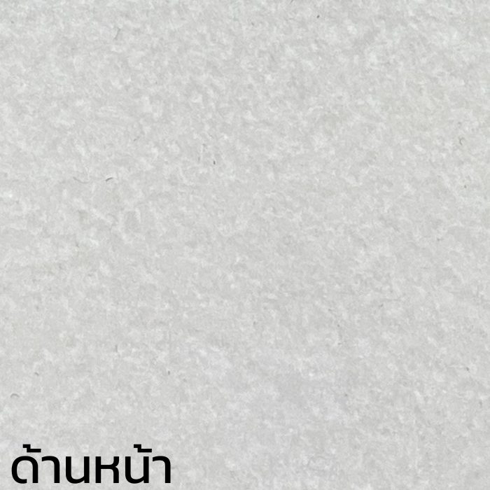 พรมพิมพ์ลาย Booth Printed Carpet - Image 5