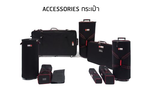 Case