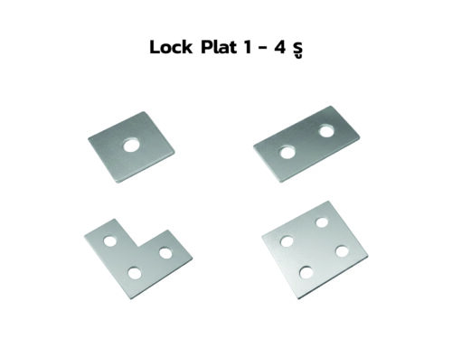 Lock Plate