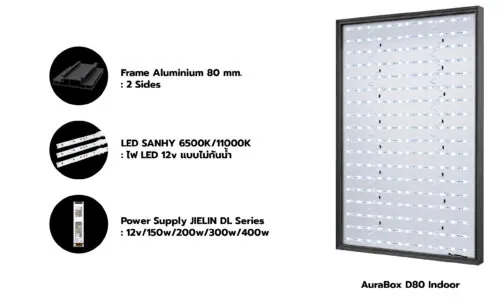 Aura LightBox D80